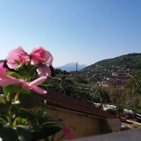 Il Ceppo