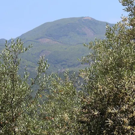 Il Ceppo *